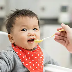 Baby Food